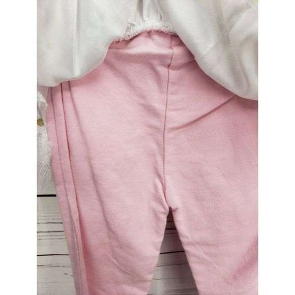 DDG Darlings SO CUTE Flower pot 2 piece outfit 12 months white pink lace mesh - Picture 2 of 7